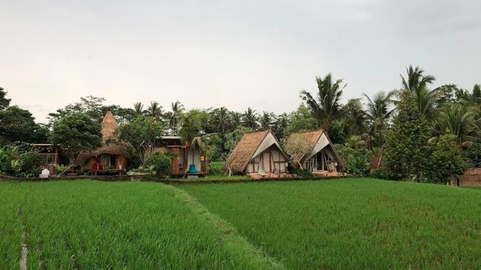 Ubud Cabin atau Pondok Mahardika di Teges, Ubud, Bali. (Tangkapan layar Google Earth)