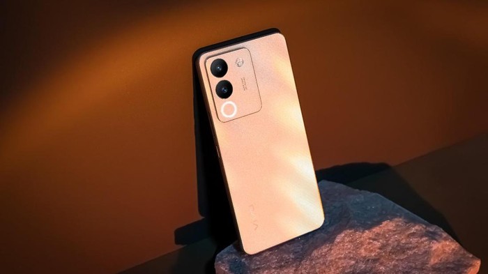 Vivo V29e