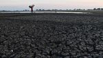 Mengering, Waduk Notopuro jadi Arena Bermain dan Dilintasi Motor
