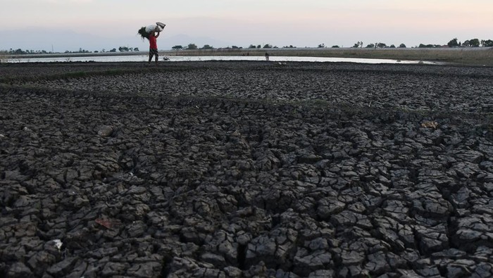 Waduk Notopuro di Madiun mengering Warga mengendarai sepeda motor melintasi areal dasar Waduk Notopuro yang airnya menyusut di Kabupaten Madiun, Jawa Timur, Kamis (19/10/2023). Waduk yang memiliki daerah irigasi seluas 2.689 hektare sawah tersebut tinggal menyisakan sedikit air hingga sebagian besar dasar waduk mengering akibat musim kemarau. ANTARA FOTO/Siswowidodo/aww.