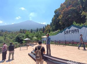 8 Tempat Wisata di Baturaden Banyumas yang Cocok untuk Healing