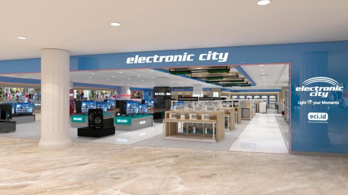 Electronic City