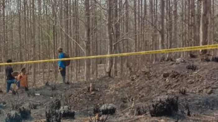 Garis polisi dipasang di hutan Perhutani Desa Krakitan, Kecamatan Bayat, Klaten, yang terbakar, Sabtu (21/10/2023).