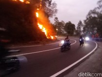 Penampakan Kebakaran Gunung Lawu Merembet ke Jalan Raya