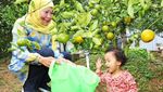 Khofifah Indar Prawansa, Sosok yang Hobi Kuliner hingga Panen Buah