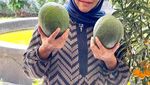 Khofifah Indar Prawansa, Sosok yang Hobi Kuliner hingga Panen Buah