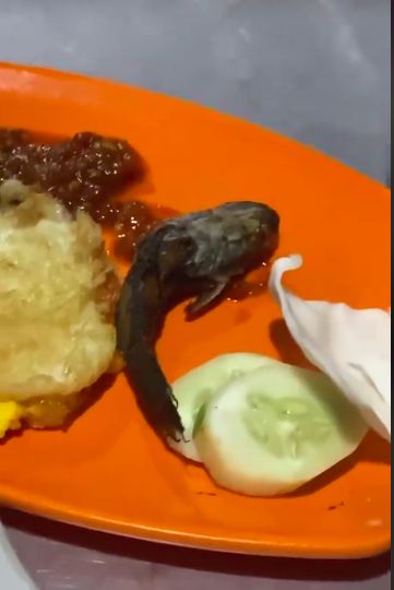 Pembeli terkejut saat pesan tumis cumi.