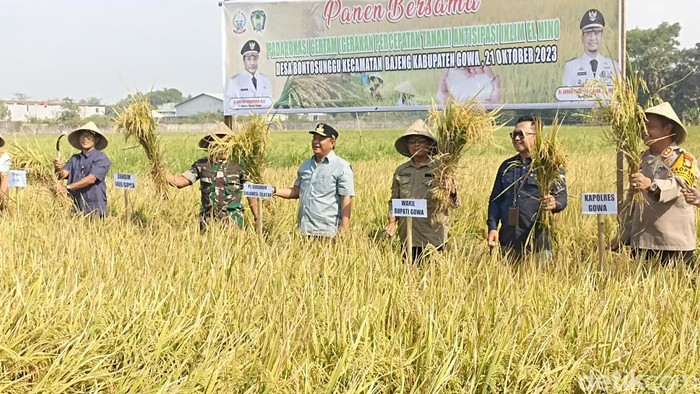 Pj Gubernur Sulsel Bahtiar Baharuddin panen padi di Gowa.
