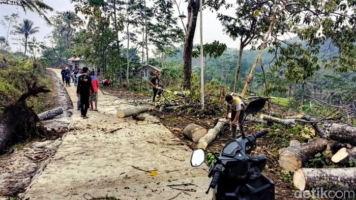 Pohon tumbang timpa rumah di Sukabumi.