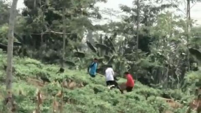 Siswa MTs di Cianjur dibully hingga dianiaya teman dan senior.