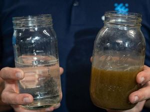 Start Up di AS Sulap Air Limbah Jadi Bir