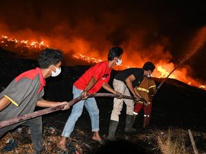 Greenpeace Indonesia Apresiasi Penanganan Kebakaran di TPA Rawa Kucing