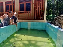 Membelai Tukik di Sangalaki, Imutnya!