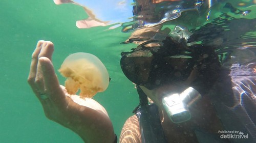 hello from underwater.