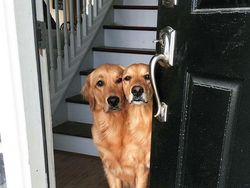 Bukan Hasil Photoshop, Deretan Foto Membingungkan Ini 100% Asli