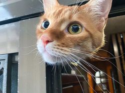 Bukan Hasil Photoshop, Deretan Foto Membingungkan Ini 100% Asli