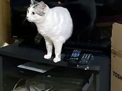 Bukan Hasil Photoshop, Deretan Foto Membingungkan Ini 100% Asli