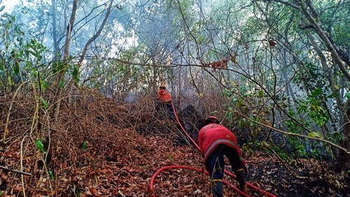 Damkartan Kabupaten Karangasem saat melakukan penanganan kebakaran lahan di Kecamatan Kubu, Kabupaten Karangasem beberapa waktu yang lalu.