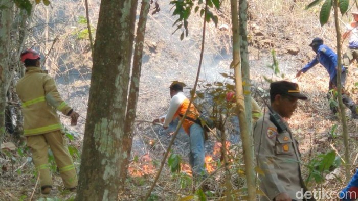 Kebakaran hutan di Bukit Tunggangan, Kecamatan Durenan, Trenggalek.