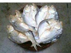 Meme Kocak Nunggu Gajian, Sudah Tanggal Tua Nih!