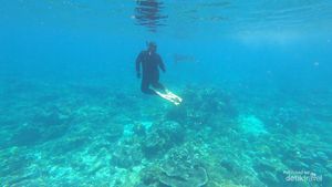 Menari Bersama Manta di Sangalaki