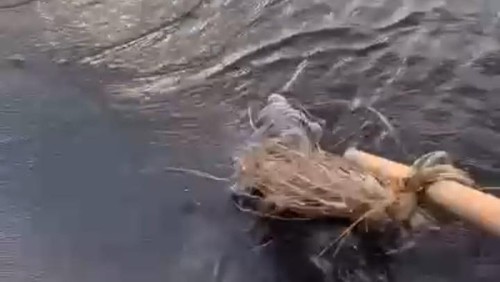 Tangkapan layar video penemuan potongan kaki manusia di Pantai Penimbangan, Desa Baktiseraga, Kecamatan Buleleng, Kabupaten Buleleng, Bali.