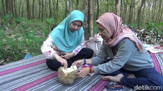 Pengunjung menikmati durian mentega khas lereng Gunung Semeru.