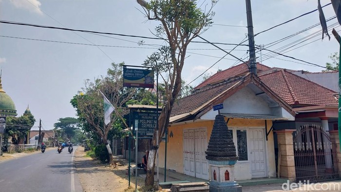 pohon tabebuya menangis