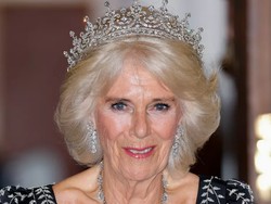 Ratu Camilla Jalani Tugas Kerajaan saat Raja Charles Sakit