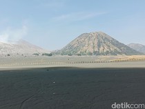 Bromo Kembali Hijau Pulihkan Kunjungan Wisatawan hingga Ekonomi Warga