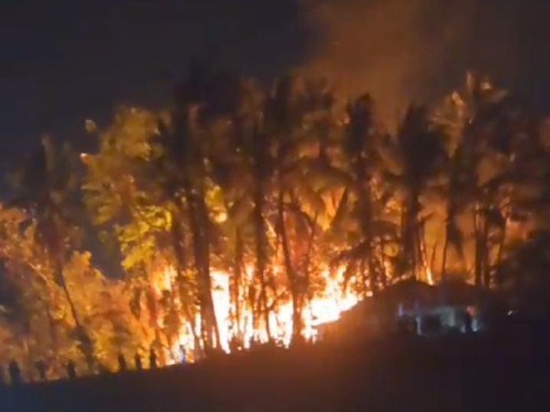 Kebun bambu di Dusun Johar, Desa Jago, Kecamatan Praya, Lombok Tengah, Nusa Tenggara Barat (NTB), ludes terbakar akibat api dari puntung rokok.