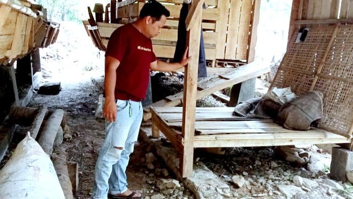 Lokasi ternak warga dimangsa hewan karnivora besar