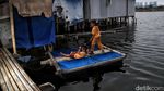Masa Depan Anak yang Tenggelam Karena Bencana Rob