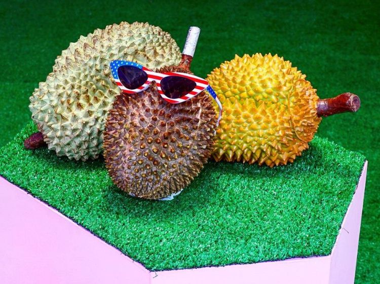 Unik Banget! Durian Bisa Tampil Kekinian di Museum Ini