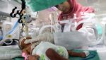 Nyawa Ratusan Bayi Prematur di Gaza Terancam Imbas Serangan Israel