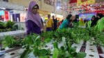 Pameran Tanaman Inovfarm untuk Kenalkan Inovasi Pertanian Modern