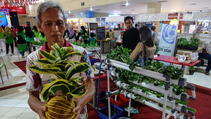 Pengunjung mengamati tanaman hias dan sayuran organik pada Pameran Tanaman Inovfarm di salah satu pusat perbelanjaan di Kabupaten Karanganyar, Jawa Tengah, Minggu (22/10/2023). Pameran yang juga diisi pelatihan pertanian dan hiroponik tersebut digelar untuk mengenalkan inovasi pertanian modern di masyarakat guna mendukung ketahanan pangan mandiri. ANTARAFOTO/Maulana Surya/nz.