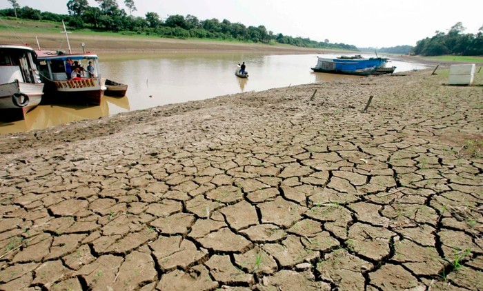Sungai Amazon kekeringan
