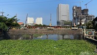 Tanaman eceng gondok tersebut memenuhi sungai hingga di pintu air Kalidami, Mulyorejo.