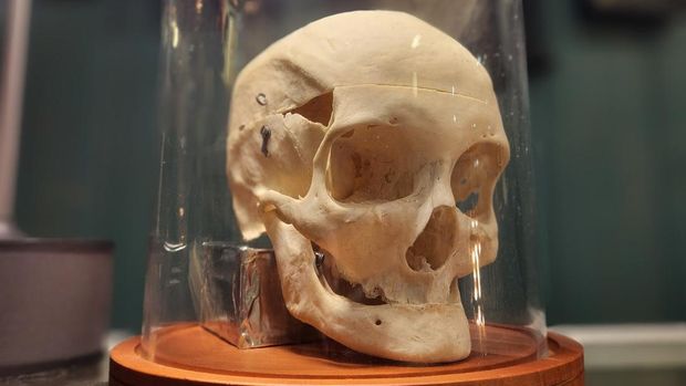 Museum The Soul Asylum