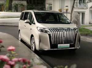 Lebih Murah dan Bongsor dari Alphard, Ini Wujud Wey Gaoshan dari China