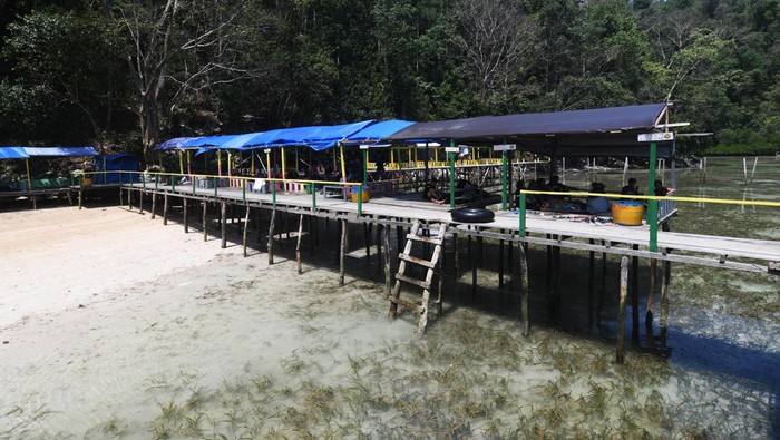 Wisata Pantai Undaro di Morowali Pengunjung berwisata di Pantai Undaro, Desa Bete-bete, Kabupaten Morowali, Sulawesi Tengah, Minggu (22/10/2023). Wisata yang berada di kawasan lingkar tambang tersebut ramai dikunjungi wisatawan dan menjadi salah satu pusat berlibur bagi pekerja tambang Nikel di daerah tersebut dan keberadaannya meningkatkan pendapatan UMKM desa setempat. ANTARA FOTO/Mohamad Hamzah/nz.