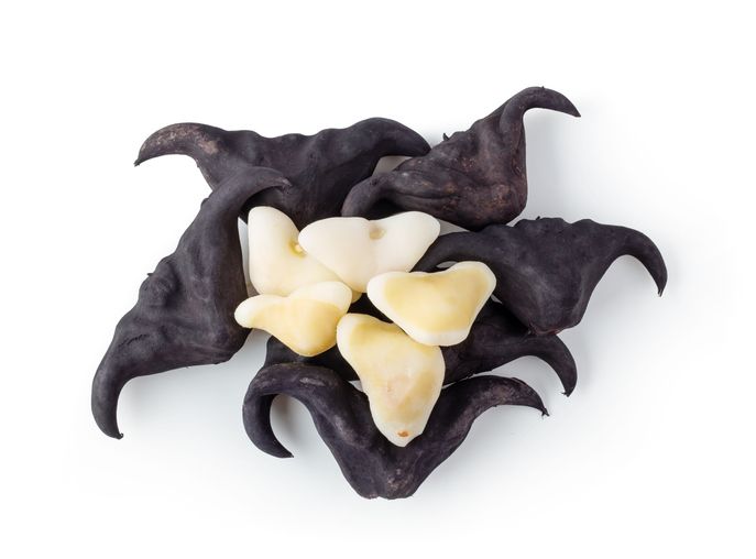 5 Fakta Water Caltrop, Kacang Tanduk Mirip Kelelawar yang Viral di TikTok