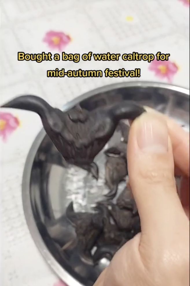 5 Fakta Water Caltrop, Kacang Tanduk Mirip Kelelawar yang Viral di TikTok