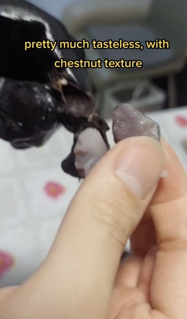 5 Fakta Water Caltrop, Kacang Tanduk Mirip Kelelawar yang Viral di TikTok