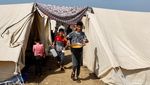 Melihat Kondisi Warga Gaza di Kamp Pengungsian