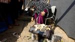 Melihat Kondisi Warga Gaza di Kamp Pengungsian