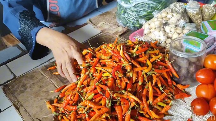 Harga cabai di Pasuruan naik hingga Rp 80 ribu per kilogram