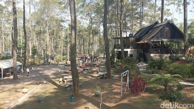 Hutan Pinus Kalaras Checkpoint di Cikole, Lembang, Kabupaten Bandung Barat