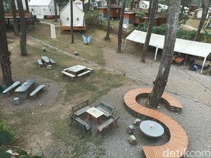 Akhir Pekan Santai di Hutan Pinus Kalaras Checkpoint Lembang